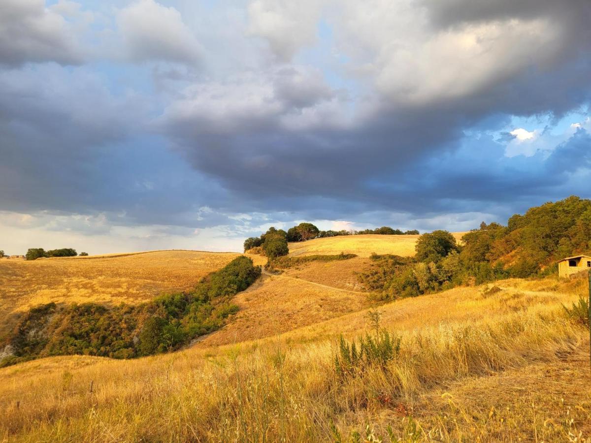 Agriturismo Vergelle Montalcino Eksteriør billede