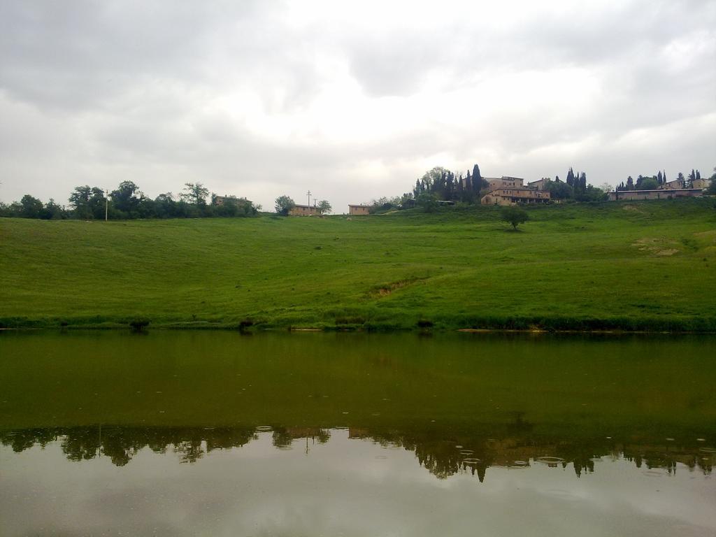 Agriturismo Vergelle Montalcino Eksteriør billede