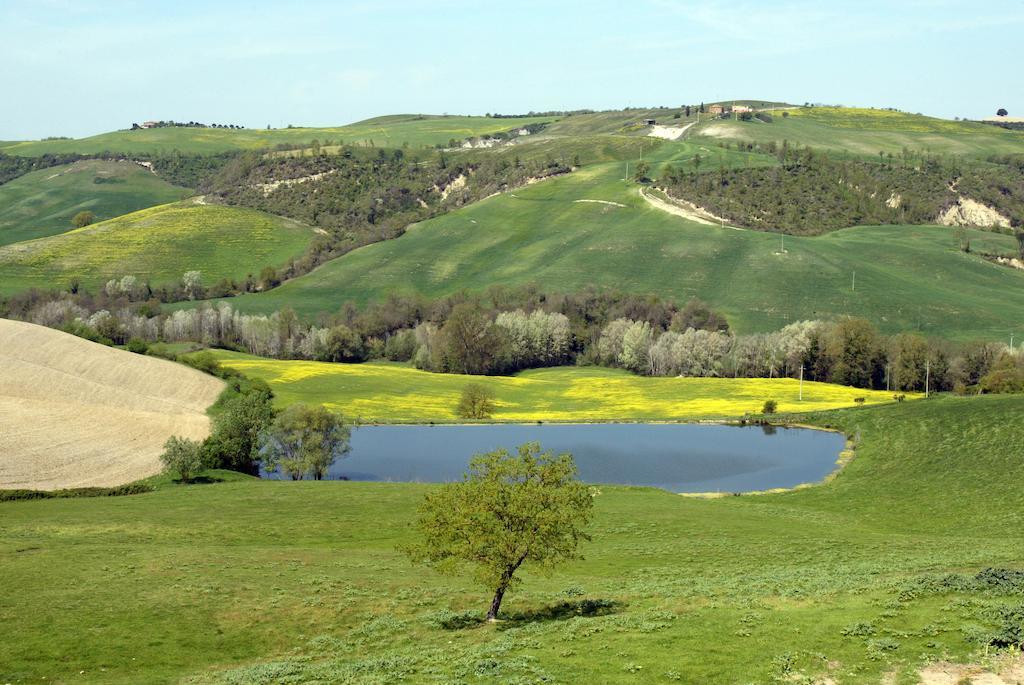 Agriturismo Vergelle Montalcino Eksteriør billede